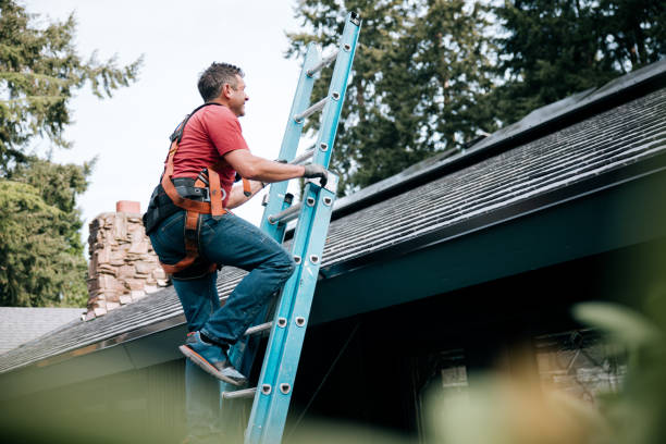 Best Storm Damage Roof Repair  in Ckam Housing, HI