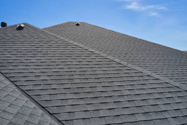 Best Roof Moss and Algae Removal  in Ckam Housing, HI